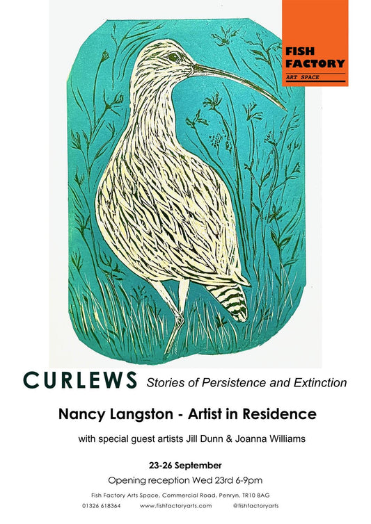 Curlews: Stories of Persistence and Extinction
